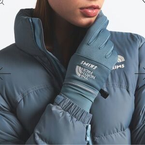 Skims north face
